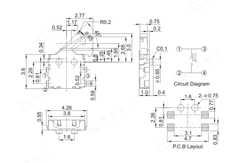 ES-D60-2.jpg